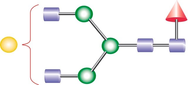 NA2G1F N-Glycan from Porcine, &#8805;90% (HPLC)