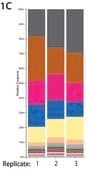 GenElute&#8482; Microbiome DNA Purification Kit High yield for PCR, sequencing and NGS