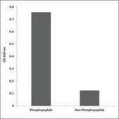 Anti-phospho-Tau (pThr534) antibody produced in rabbit affinity isolated antibody