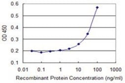 Monoclonal Anti-ZNF157 antibody produced in mouse clone 3G3, purified immunoglobulin, buffered aqueous solution