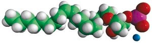 C18:1 LPA 1-(9Z-octadecenyl)-2-hydroxy-sn-glycero-3-phosphate (ammonium salt), powder