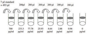 人 Decorin ELISA 试剂盒 for serum, plasma, cell culture supernatant and urine
