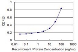 Monoclonal Anti-TNRC6B antibody produced in mouse clone 3G11, purified immunoglobulin, buffered aqueous solution