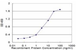 Monoclonal Anti-FHL3 antibody produced in mouse clone 2C10, purified immunoglobulin, buffered aqueous solution