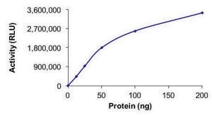 PIP4K2B, Active PRECISIO&#174; Kinase, recombinant