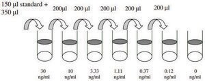 大鼠 IL-2 ELISA 试剂盒 for serum, plasma, cell culture supernatant