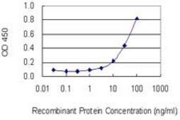 Monoclonal Anti-SOCS4 antibody produced in mouse clone 2G8, purified immunoglobulin, buffered aqueous solution