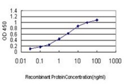 Monoclonal Anti-CDX4 antibody produced in mouse clone 3H3, purified immunoglobulin, buffered aqueous solution