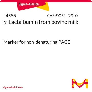 &#945;-乳清蛋白 来源于牛奶 Marker for non-denaturing PAGE
