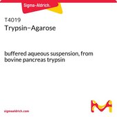 Trypsin−Agarose buffered aqueous suspension, from bovine pancreas trypsin