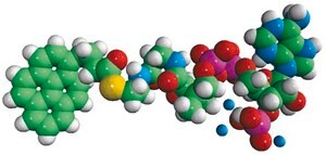 04:0 Pyrene Coenzyme A Avanti Research™ - A Croda Brand 810704P, powder