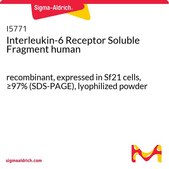 Interleukin-6 Receptor Soluble Fragment human recombinant, expressed in Sf21 cells, ≥97% (SDS-PAGE), lyophilized powder