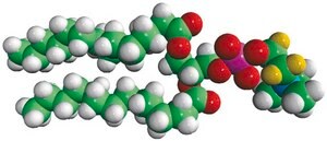 14:0 PC-d4 Avanti Research™ - A Croda Brand 860341P, powder