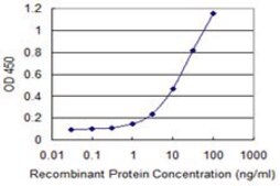 Monoclonal Anti-NT5E, (C-terminal) antibody produced in mouse clone 4D3-2C10, purified immunoglobulin, buffered aqueous solution