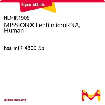 MISSION&#174; Lenti microRNA, Human hsa-miR-4800-5p