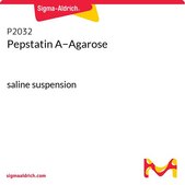 胃抑素 A− 琼脂糖 saline suspension