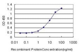 Monoclonal Anti-GGPS1 antibody produced in mouse clone 1C3, purified immunoglobulin, buffered aqueous solution
