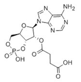 2′-O-Monosuccinyladenosine 3′:5′-cyclic monophosphate ≥98%