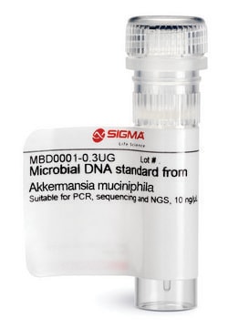 Microbial DNA standard from Akkermansia muciniphila Suitable for PCR, sequencing and NGS, 10&#160;ng/&#956;L