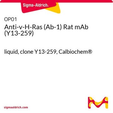 Anti-v-H-Ras (Ab-1) Rat mAb (Y13-259) liquid, clone Y13-259, Calbiochem&#174;