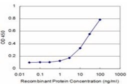 ANTI-PRDM1 antibody produced in mouse clone 1G6, purified immunoglobulin, buffered aqueous solution