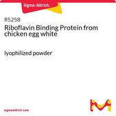 核黄素结合蛋白 来源于鸡蛋白 lyophilized powder