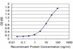 ANTI-HD antibody produced in mouse clone 4G6, purified immunoglobulin, buffered aqueous solution
