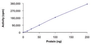 NEK9 (1-979), (deleted fragment 346-731), active, GST tagged human PRECISIO&#174; Kinase, recombinant, expressed in baculovirus infected Sf9 cells, &#8805;70% (SDS-PAGE), buffered aqueous glycerol solution