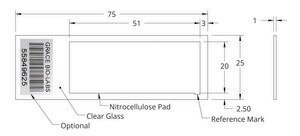 Grace Bio-Labs ONCYTE&#174; AVID&#8482; nitrocellulose film slides 1 (Pads), L × W 51&#160;mm × 20&#160;mm