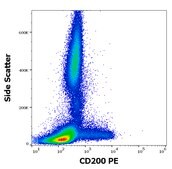 Monoclonal Anti-CD200 PE produced in mouse