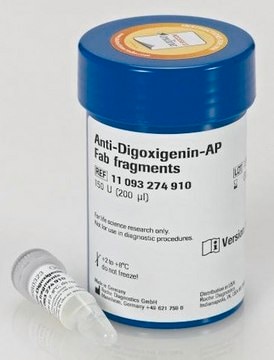 Anti-Digoxigenin-AP, Fab fragments from sheep