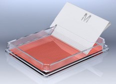 Cell Comb™ Scratch Assay