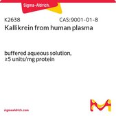 激肽释放酶 来源于人类血浆 buffered aqueous solution, ≥5 units/mg protein