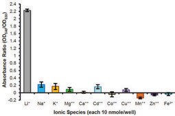 Lithium Assay Kit sufficient for 100 colorimetric&nbsp;tests