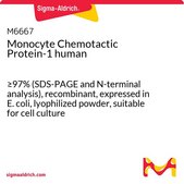 Monocyte Chemotactic Protein-1 human >97% (SDS-PAGE), recombinant, expressed in E. coli, lyophilized powder, suitable for cell culture