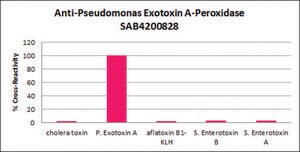 Anti-Pseudomonas Exotoxin A-Peroxidase antibody produced in rabbit IgG fraction of antiserum