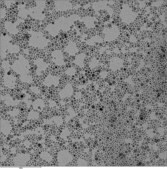 Silver, dispersion nanoparticles, <25 nm particle size (TEM), 40 wt. % in xylene