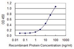 Monoclonal Anti-ST13 antibody produced in mouse clone 2B2, purified immunoglobulin, buffered aqueous solution