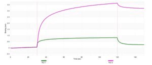 Anti-TRF4-2/PAPD5 Antibody, clone 3D8 ZooMAb&#174; Rabbit Monoclonal recombinant, expressed in HEK 293 cells