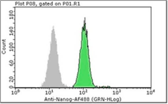 Milli-Mark&#174; Anti-Nanog-Alexa Fluor 488 Antibody, NT Milli-Mark&#174;, from rabbit