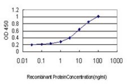 ANTI-TEK antibody produced in mouse clone 1G10, purified immunoglobulin, buffered aqueous solution