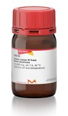 Amano Lipase M from Mucor javanicus ≥10,000 U/g, pH 7.0, 40 °C (Optimum pH and temperature)