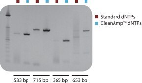 CleanAmp™ dNTP Modified dNTP set for hot-start PCR, 2 μmol of each dNTP
