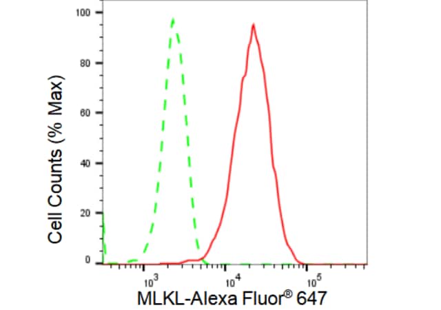 KD-Validated Anti MLKL Antibody, clone 23GB2935, Rabbit Monoclonal clone 23GB2935, recombinant rabbit monoclonal, expressed in HEK293 cells