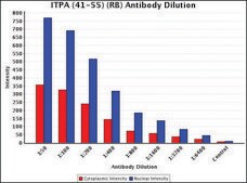 Anti-ITPA (41-55) antibody produced in rabbit IgG fraction of antiserum, buffered aqueous solution