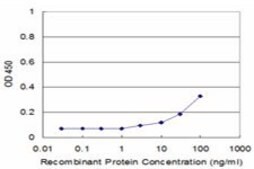 Monoclonal Anti-DNM1L antibody produced in mouse clone 1D6, purified immunoglobulin, buffered aqueous solution