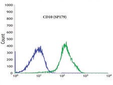 Anti-CD10 antibody, Rabbit monoclonal recombinant, expressed in proprietary host, clone SP179, affinity isolated antibody
