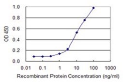 Monoclonal Anti-HOXD4, (N-terminal) antibody produced in mouse clone 1H7, purified immunoglobulin, buffered aqueous solution