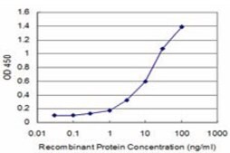 Monoclonal Anti-GEMIN6 antibody produced in mouse clone 3D2, purified immunoglobulin, buffered aqueous solution