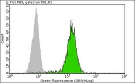 Anti-CD34 Class II Antibody, clone QBEND/10, FITC conjugated clone QBEND/10, Chemicon&#174;, from mouse